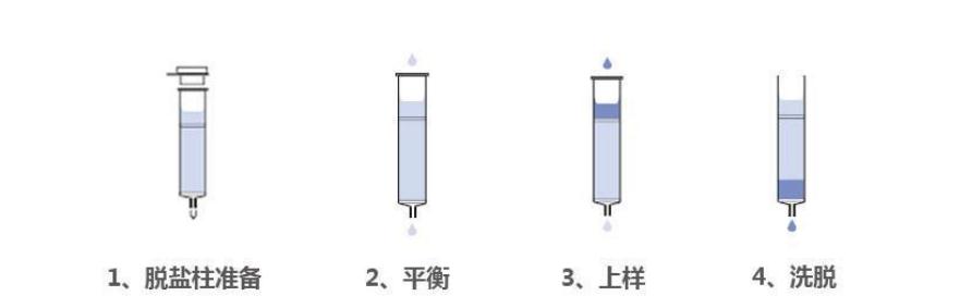 脱盐流程