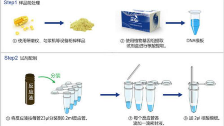 pcr实验步骤-pcr扩增的原理和步骤