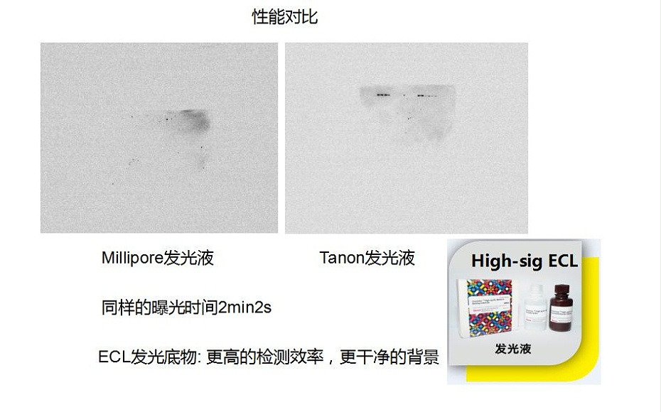 天能发光液性能对比