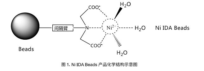 NI IDA示意图