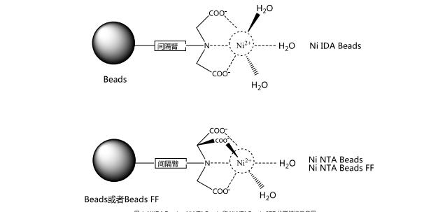 Ni-NTA-Beads-6FF