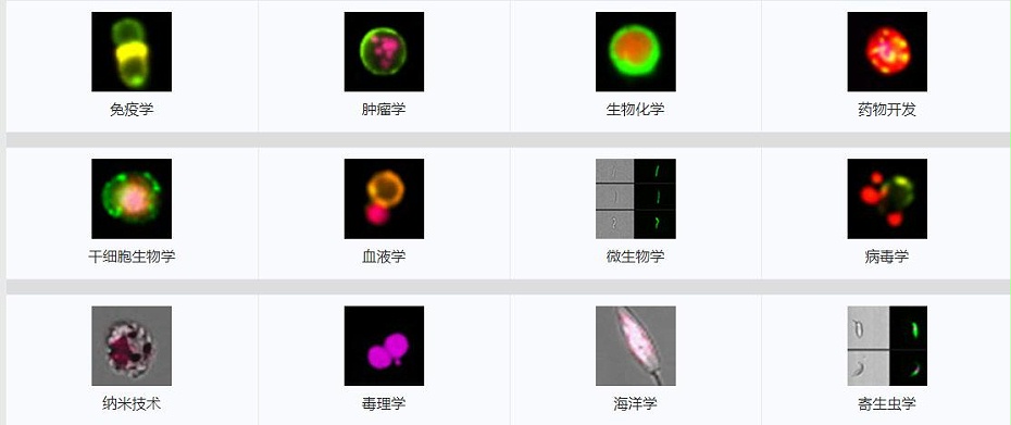 成像仪应用