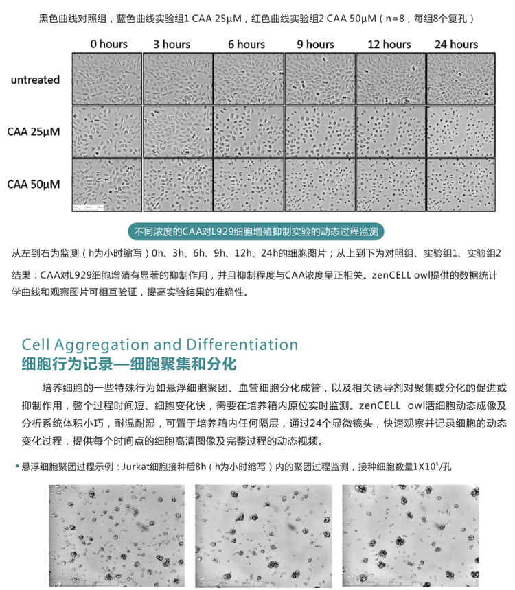 详情页_09